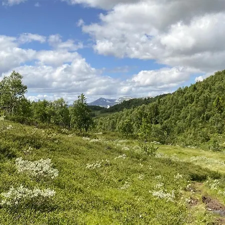 In With House A Mountain View